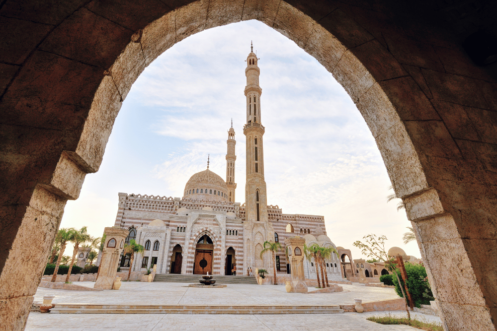 الرئيسية 14 الرئيسية خبير رحلتك القادمة